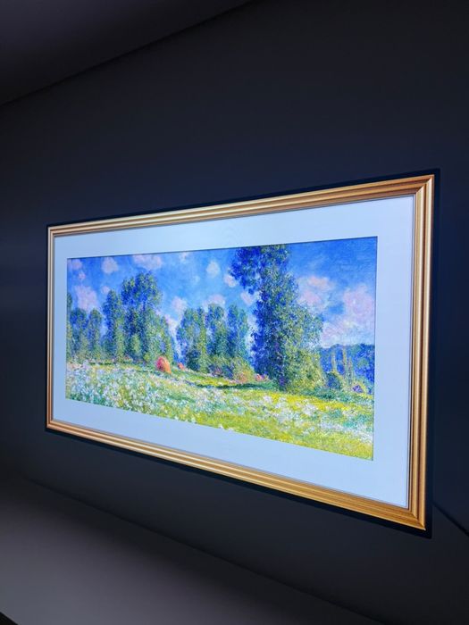 LG OLED 48’ 120hz