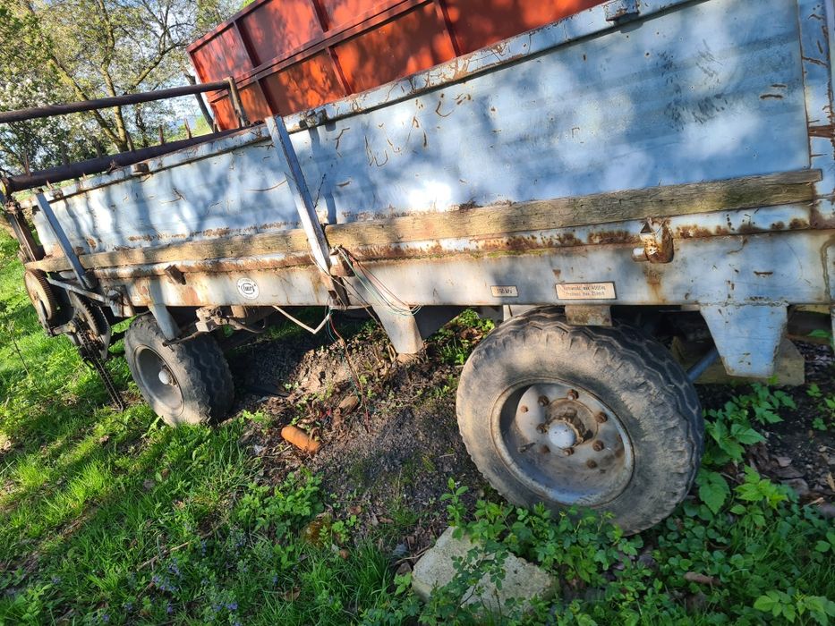 Rozrzutnik polski czarna białostocka części