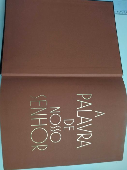 BIBLIA Ilustrada (+ de 1089 páginas)