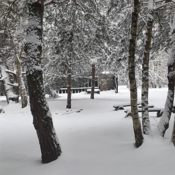 Domek Leśniczówka Gorzewo pow.gostyniński