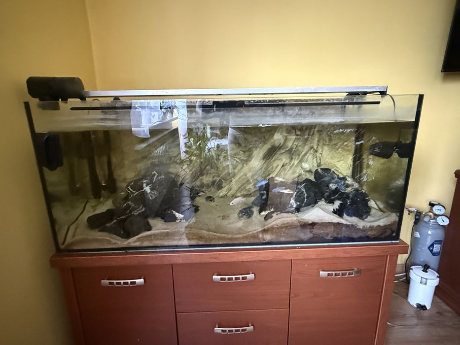 Sprzedam akwarium 120x50x50