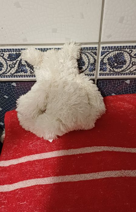 Pluszowy miś, maskotka