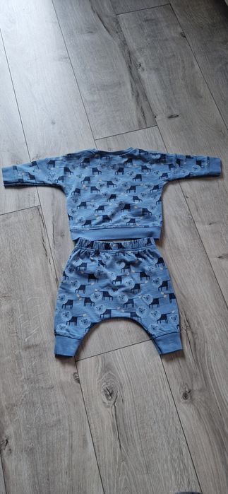 Next komplet dres dresik lwy zwierzątka