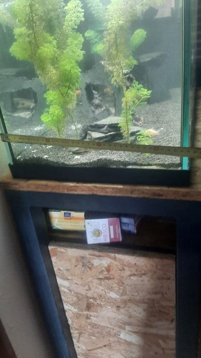 Aquario peixes  EHEIM