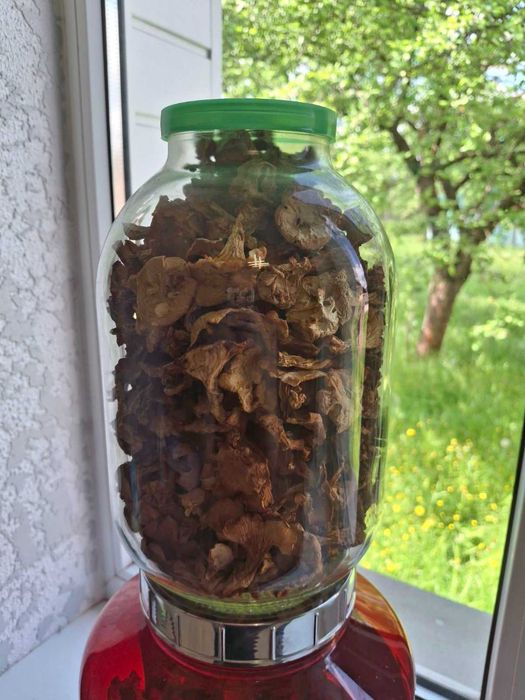 Продам сухі лисички