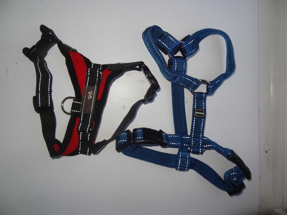 Bitsdog шлейка для собаки