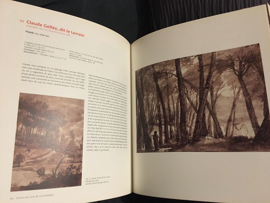 Claude Gelée, dit le Lorrain. Le Dessinateur face à la Nature
