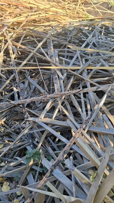 Дрова ,сосна, горбыль