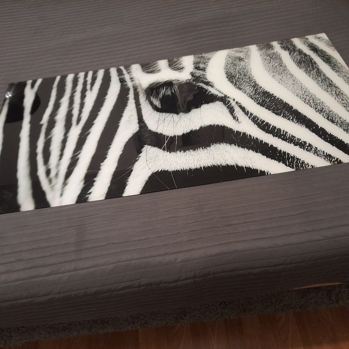 Quadro de vidro zebra preto e branco como novo da conforama