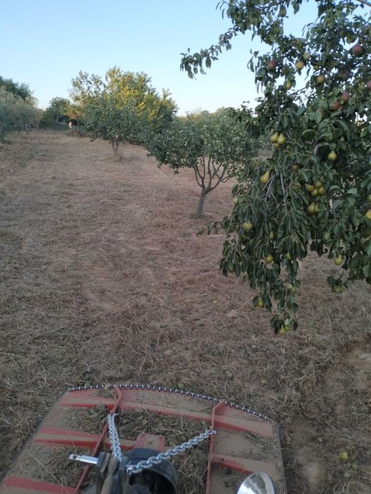 Capinadeira 1.5 como nova