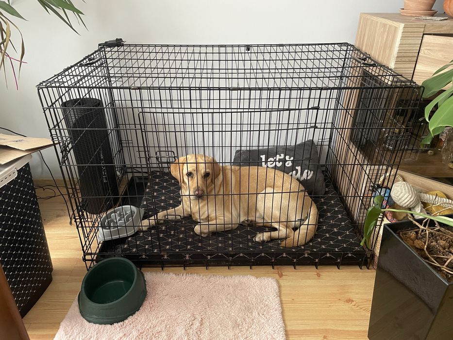 Klatka dla psa, zamykana