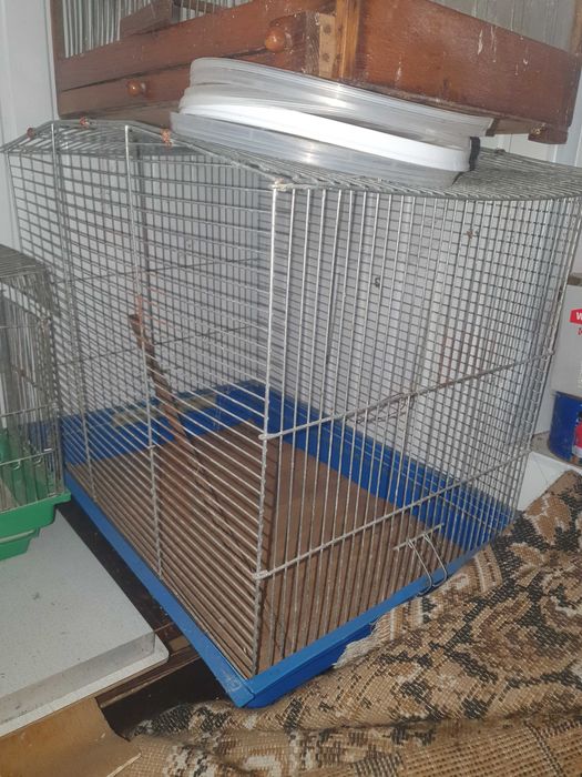 Клітки,ловушки,переноски для птахів