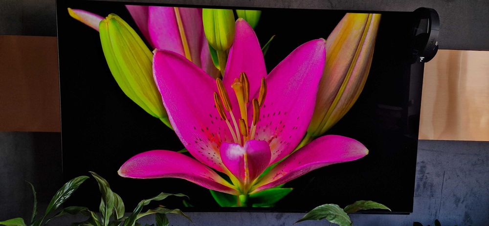 Panasonic 55 FZ800E OLED