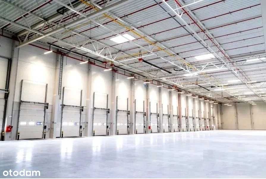 Hala Magazyn Zielona Góra wynajem od 3 do 6 tys. m kw.