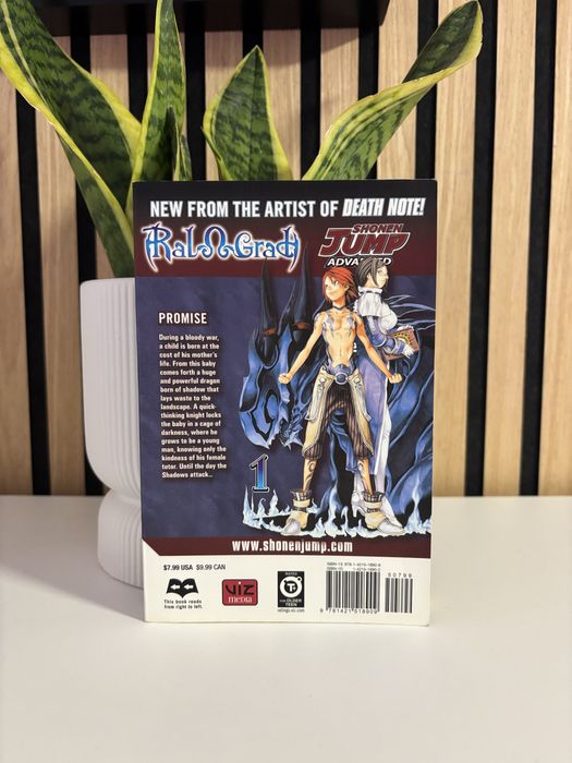 Manga Ral o Grad Vol. 1 (Inglês)