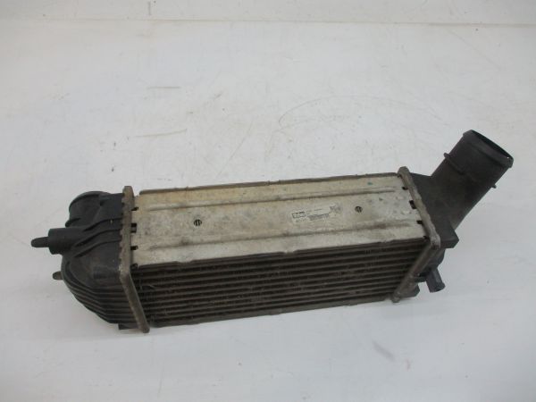 Radiador do intercooler PEUGEOT 307 (3A/C)