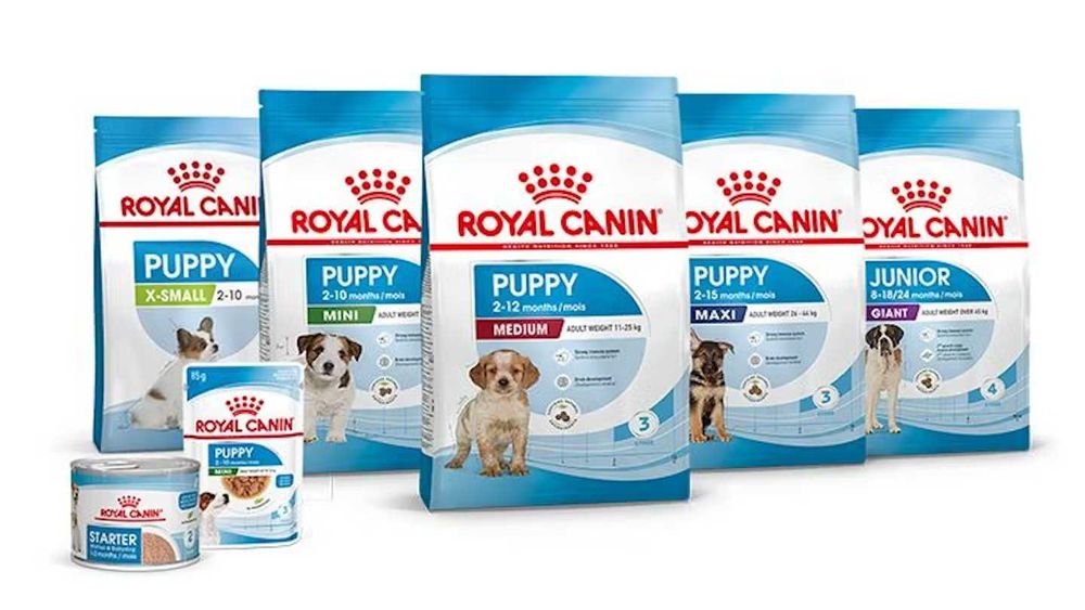 -25% Royal Canin для собак на весь асортимент / в наявності