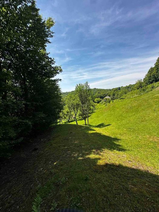 Продається старий будинок з великою земельною ділянкою
