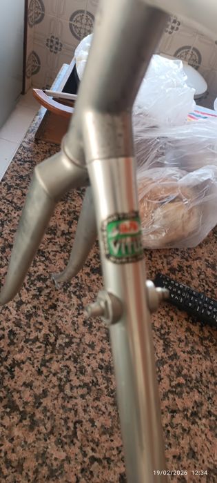 Quadro vitus  1 geração