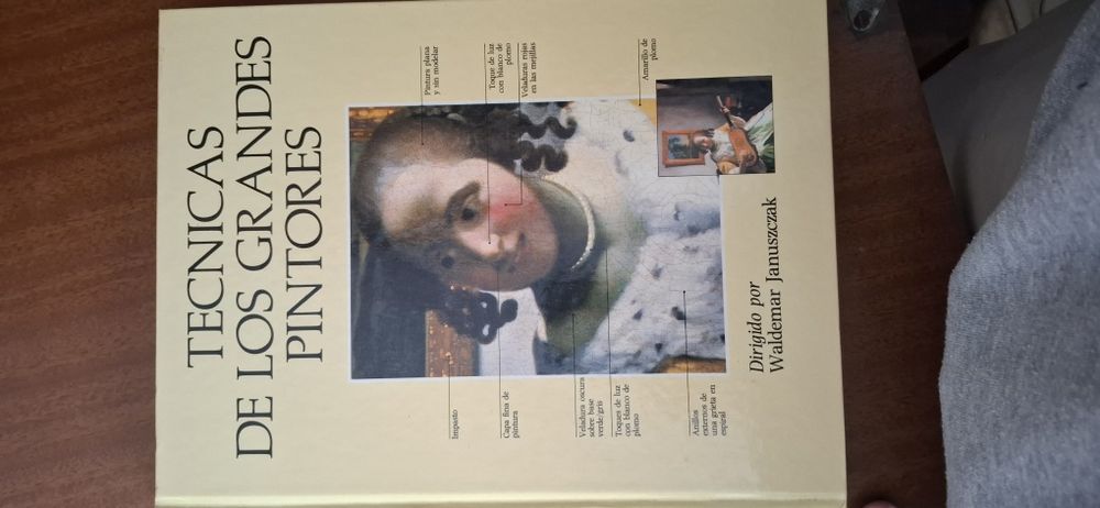 Livro arte - Tecnicas grandes pintores