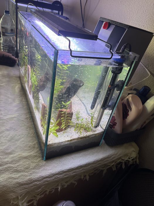 Aquario 45 litros