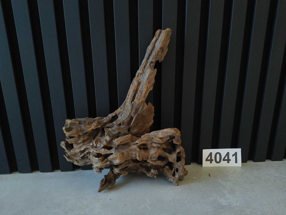 korzeń Drift Wood 4041 jak Dragon Stone akwarium terrarium 33x25x10