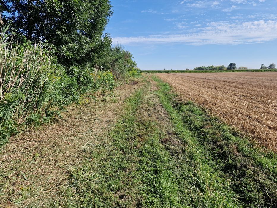 Mecalac usługi, koparka, koparko-ładowarka, kruszywa, kucie młotem,