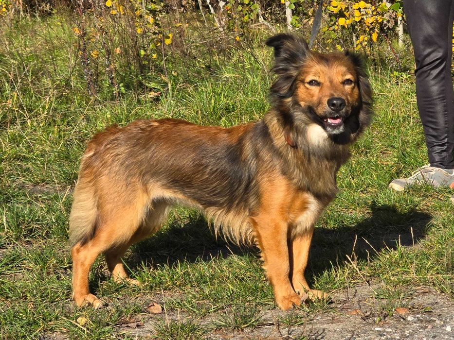 Gigi- prawdziwa piękność.