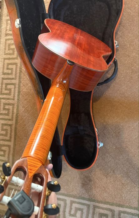 Guitarra de concervo sevr