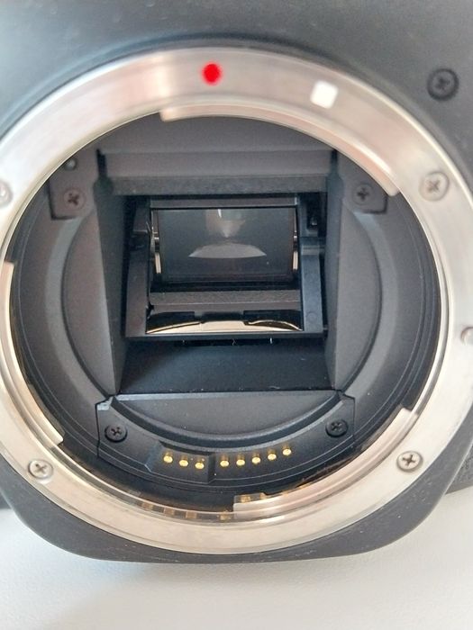 Lustrzanka Canon EOS 80D