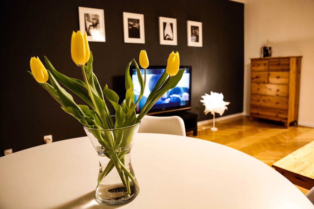 Wynajem krótkoterminowy centrum Niedzialkowskiego