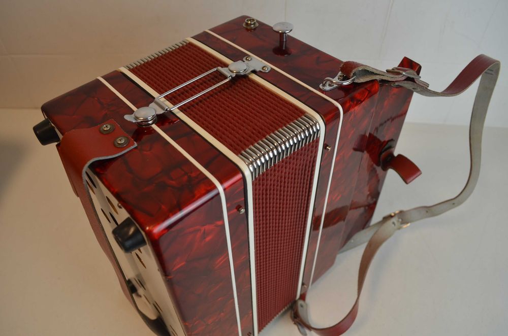 Concertina Guistozzi