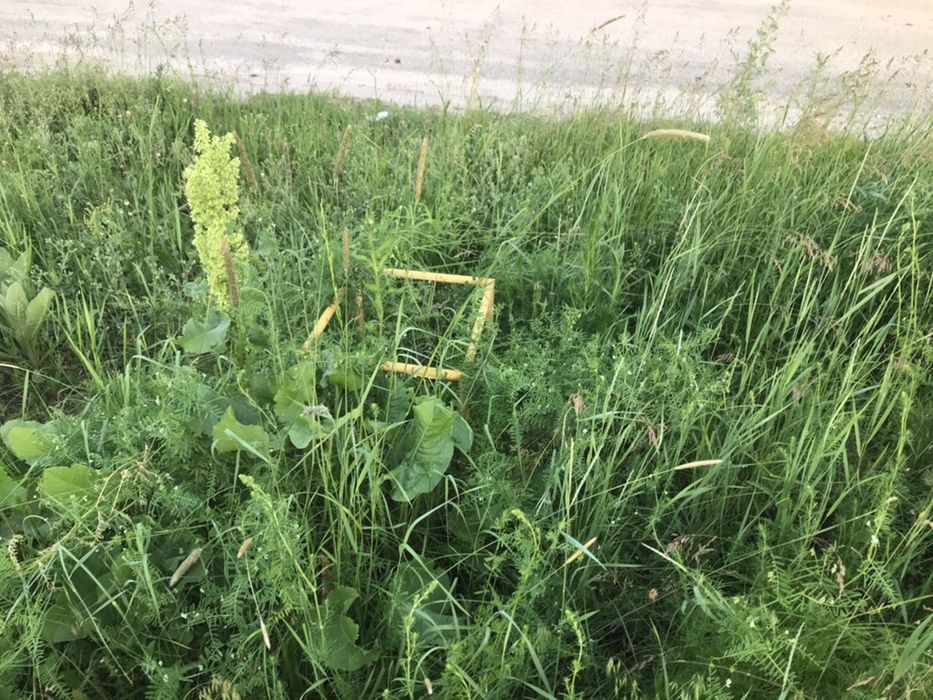 Продам земельний участок