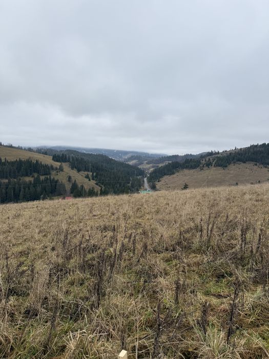 Продається ділянка осг в с. Пилипець