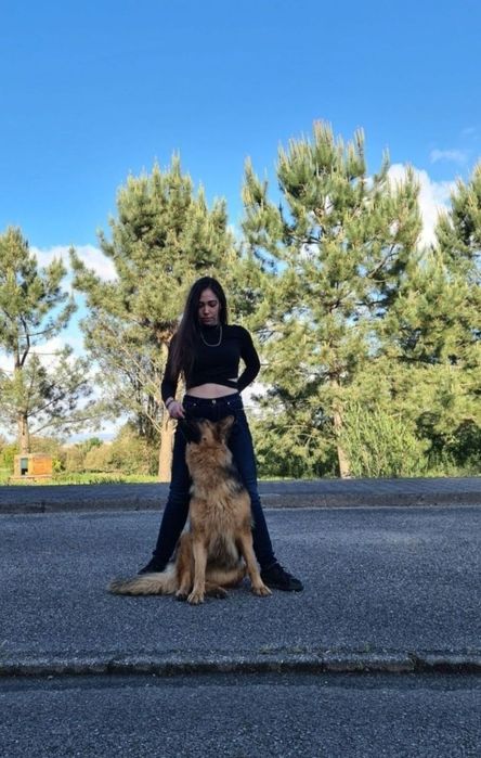 Treino de Cães/Pet-Sitting