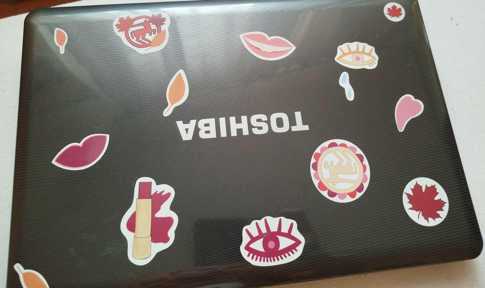 Laptop model Satellite L505-119