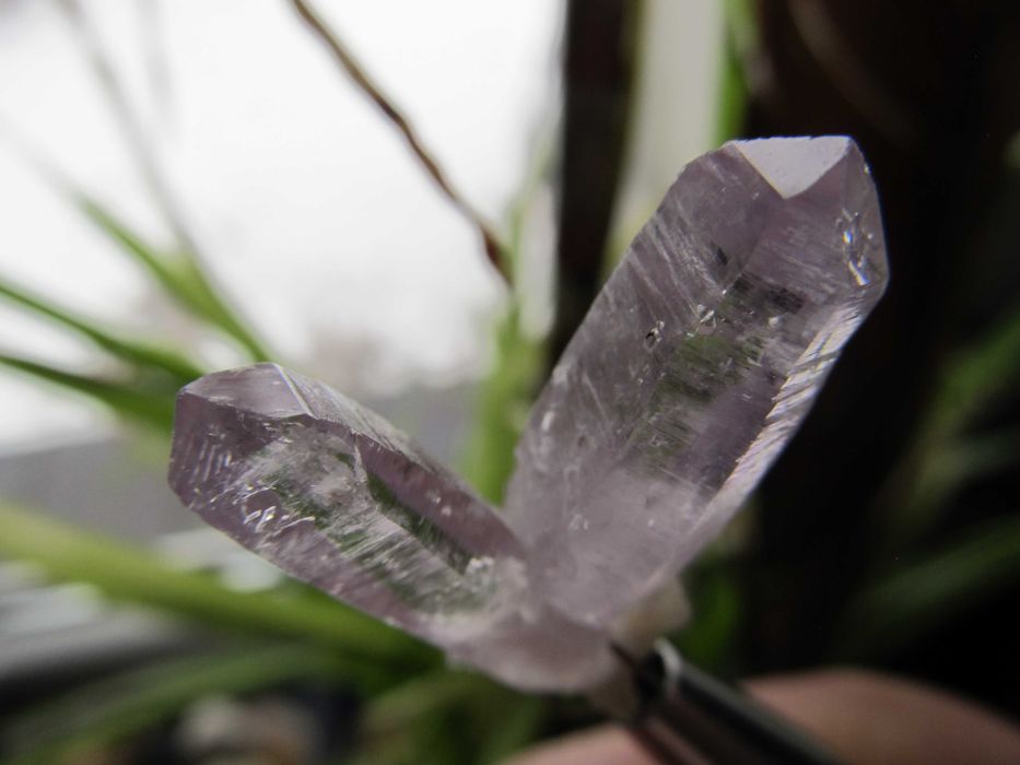 Ametyst - zrost kryształów - Veracruz #3M