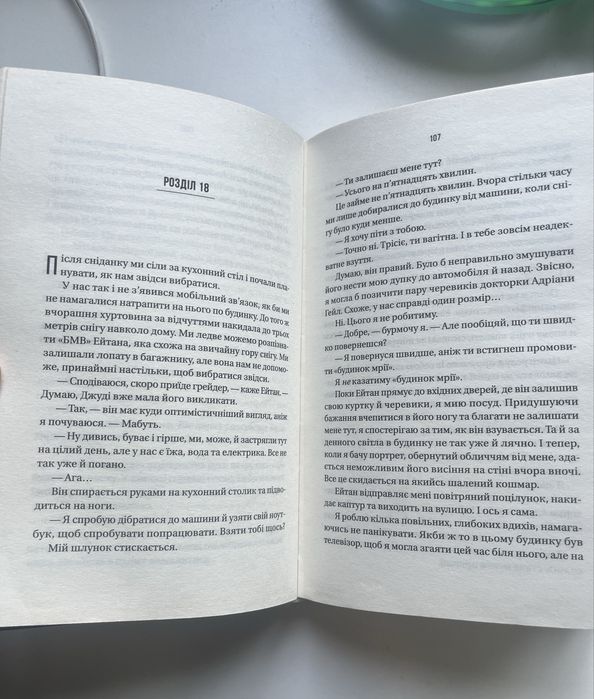 книга «Ніколи не бреши» Фріда Мак-Фадден
