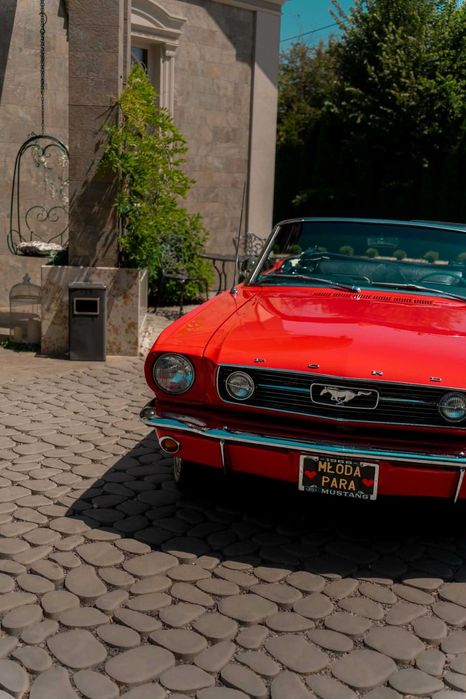 Ford mustang 1966  wynajem na wesele