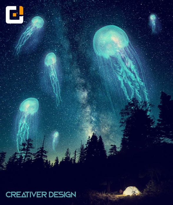 Web Designer Gráfico Freelancer / Gestão Redes Sociais / Websites