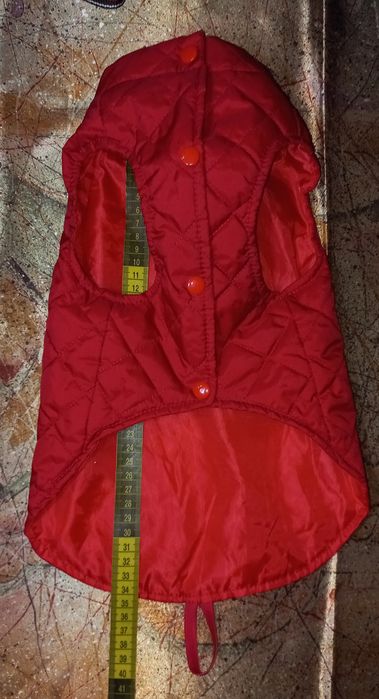 Шлейка, жилетка, бандана-ошейник, поводок