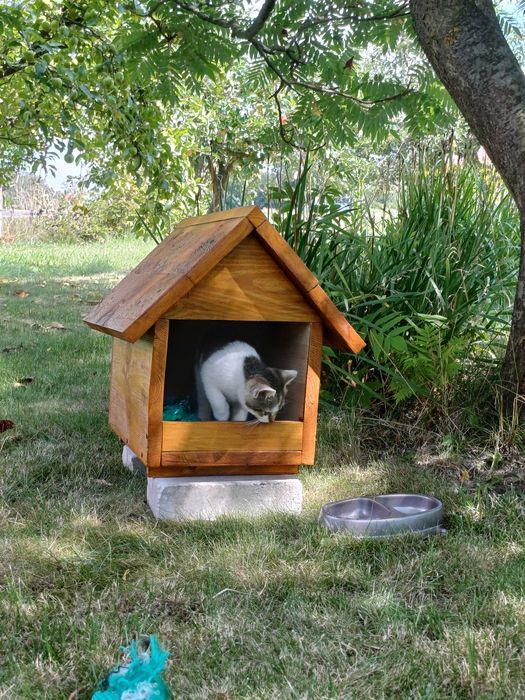 Buda / Domek dla kota