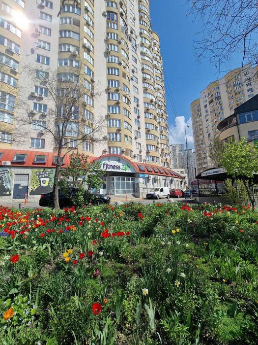 Дніпровська набережна 23, Осокорки, Рівер Молл, Позняки