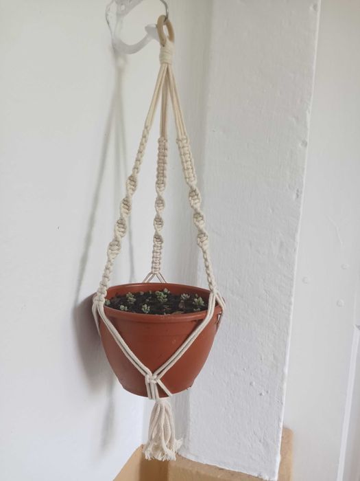 Suporte para plantas