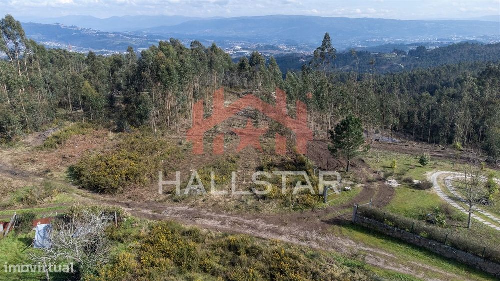 Terreno Florestal / Área Total 2.480m2 / Penafiel