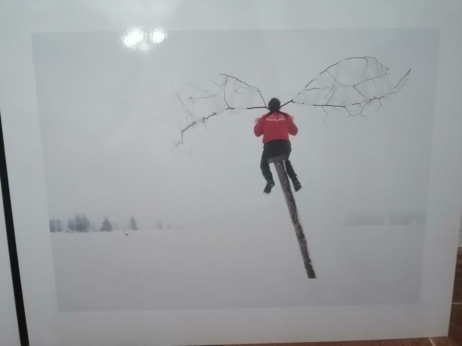 Fotografias Janne Lehtinen parte 2