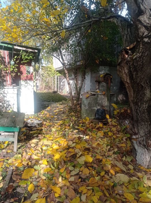 Газифікований будинок в селі Олишівка. Вода в будинку. БАНЯ.