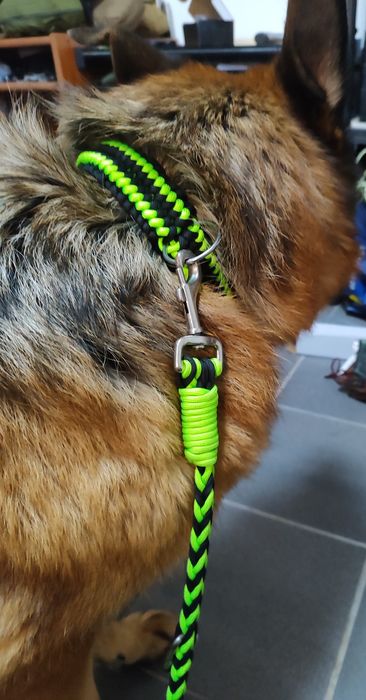 Coleira paracord personalizáveis