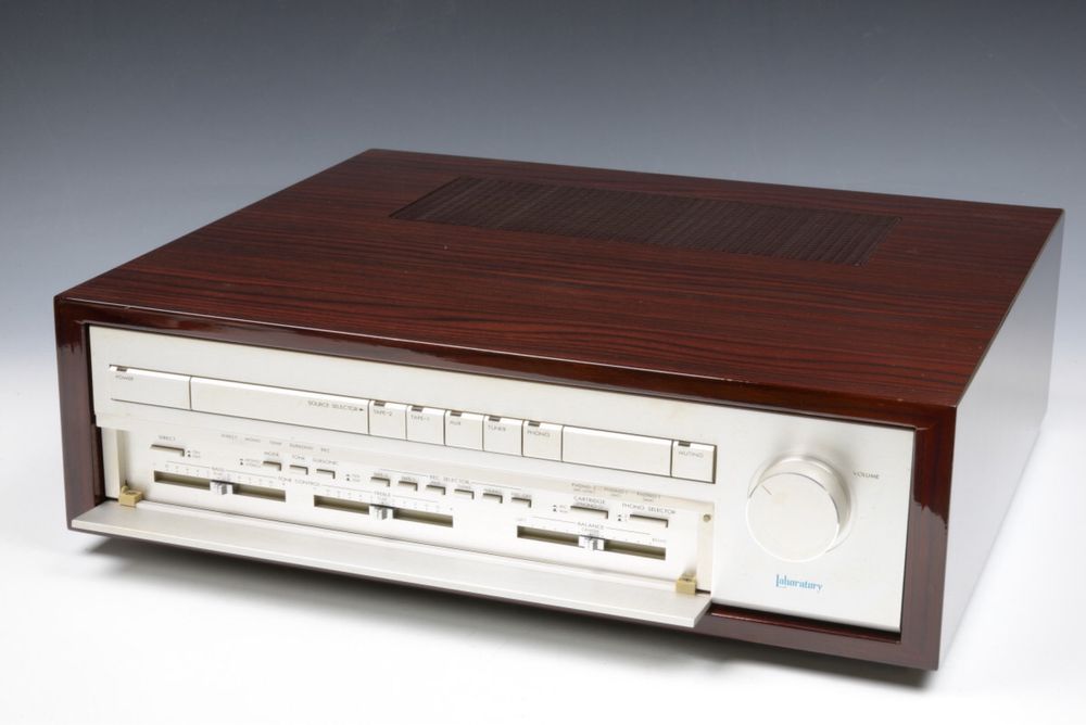 Усилитель двублочный Victor P L10 & M L10