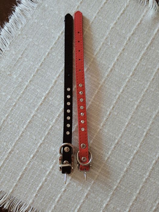 Obroża dla malutkiego pieska